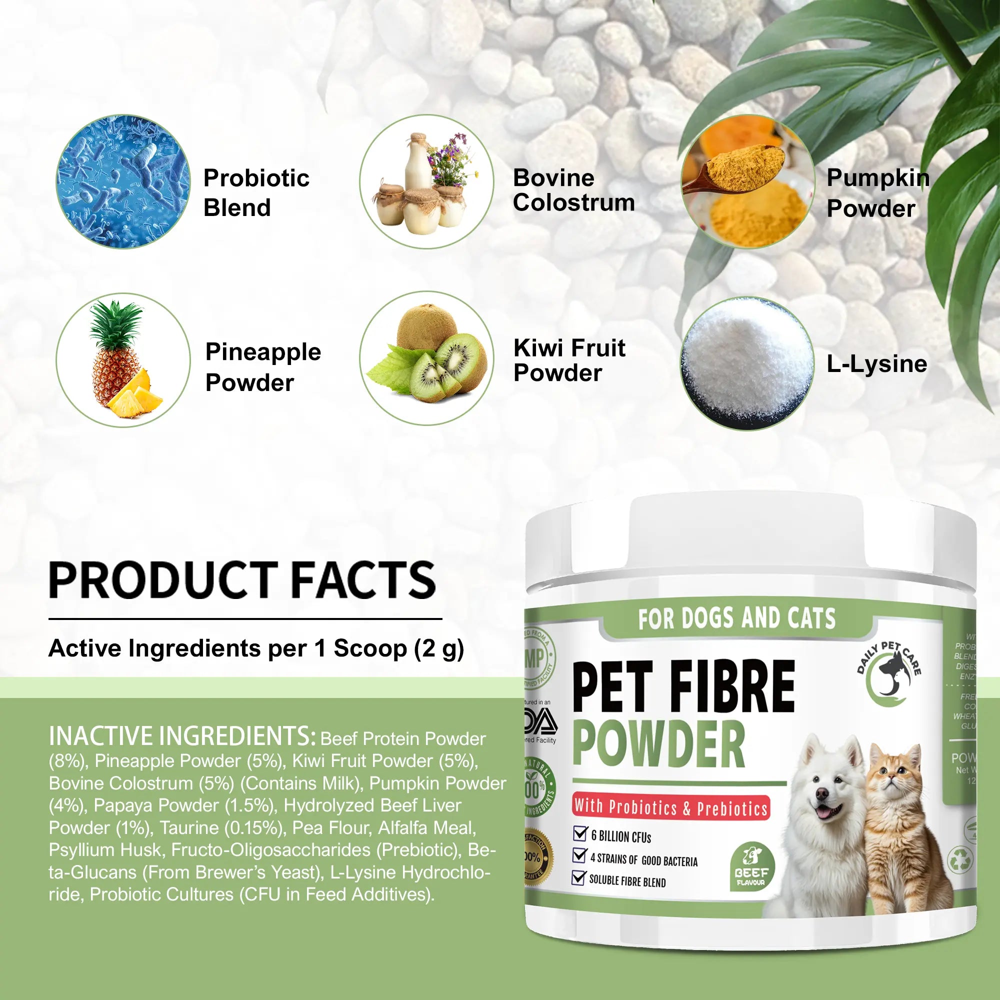 Pet probiotic powder for digestion gut balance and stool consistency UK