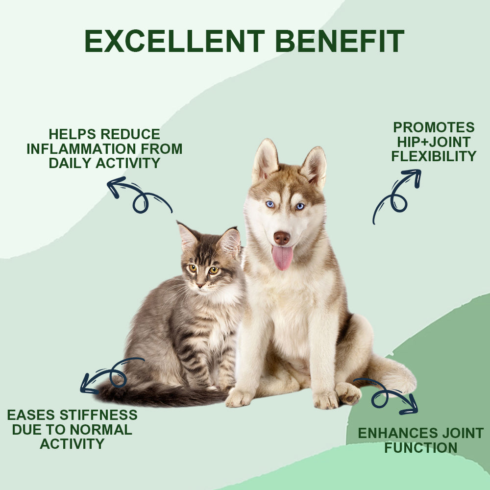 Dog Joint Supplement Powder UK – Green Lipped Mussel for Dogs with Glucosamine MSM & Chondroitin, Mobility & Joint Support for Dogs & Cats