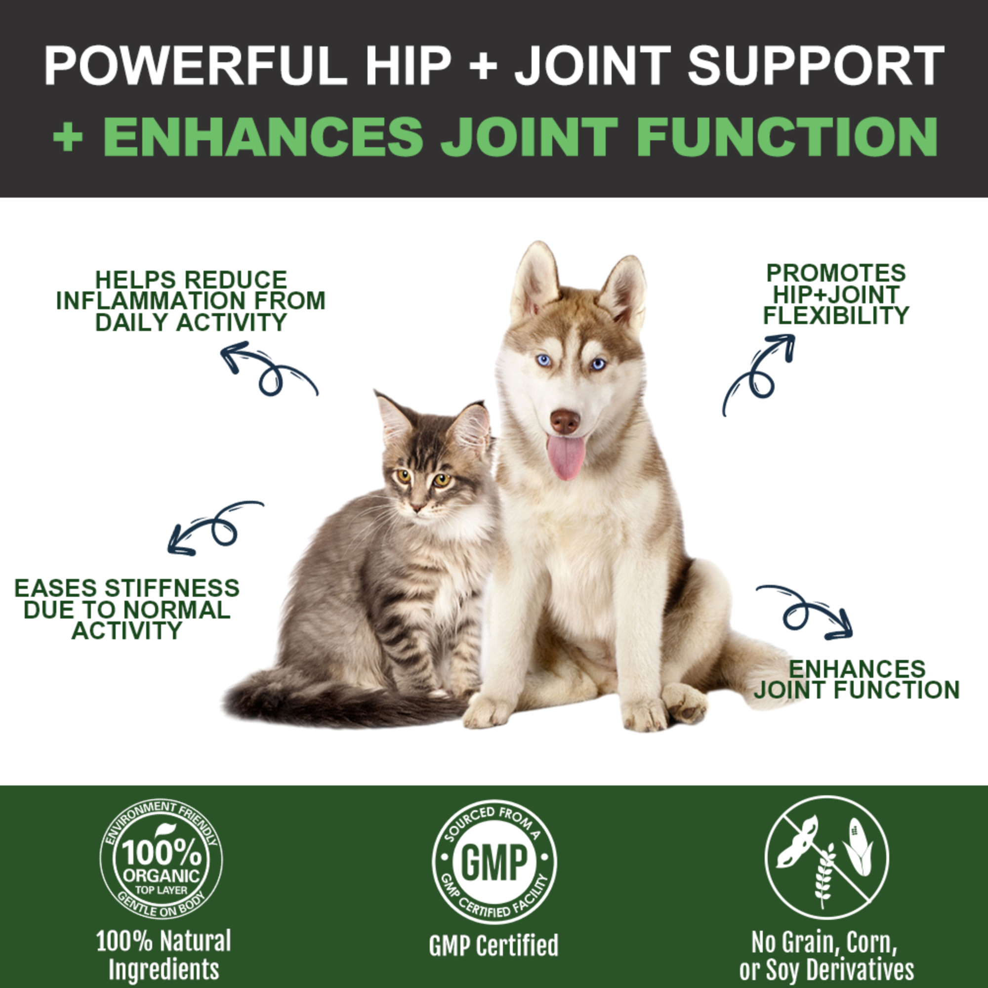 Green Lipped Mussel for Dogs & Cats – Joint Supplement with Glucosamine MSM & Chondroitin, Pet Mobility & Hip Support, Daily Soft Chews UK