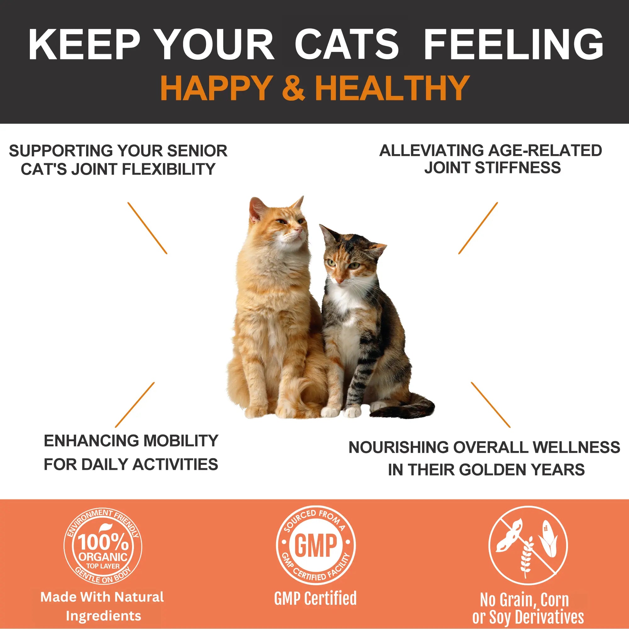 {{Product title}} for dogs and cats | Pet supplements UK | {{Shop name}}