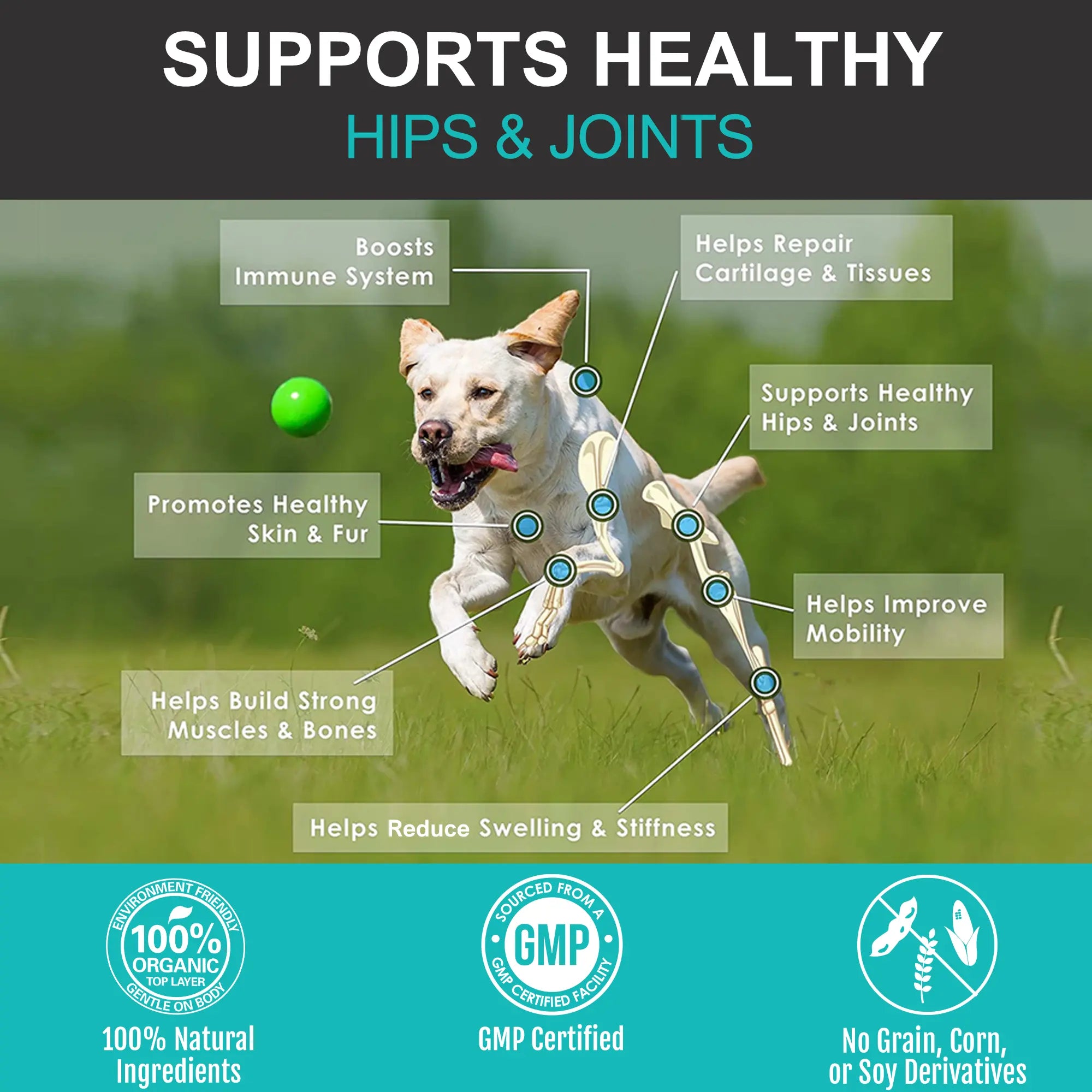 {{Product title}} for dogs and cats | Pet supplements UK | {{Shop name}}