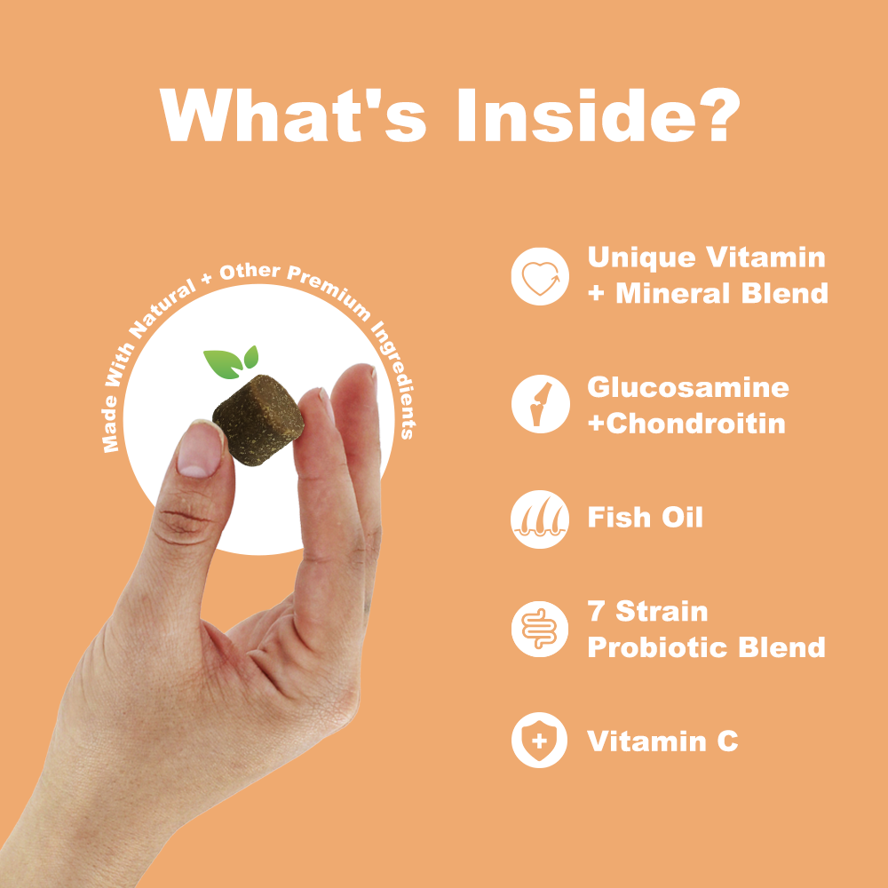 15-in-1 Multivitamin Chews for Dogs