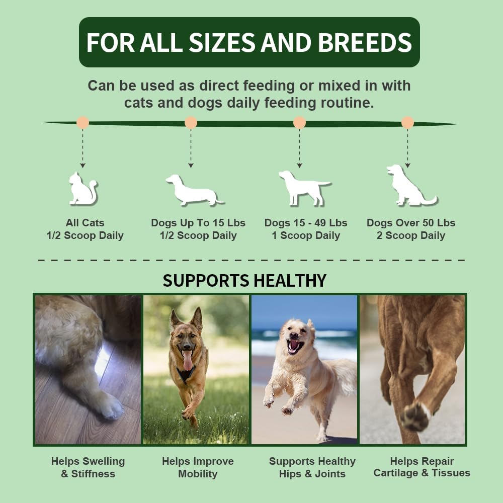 Green Lipped Mussel Powder for Dogs & Cats