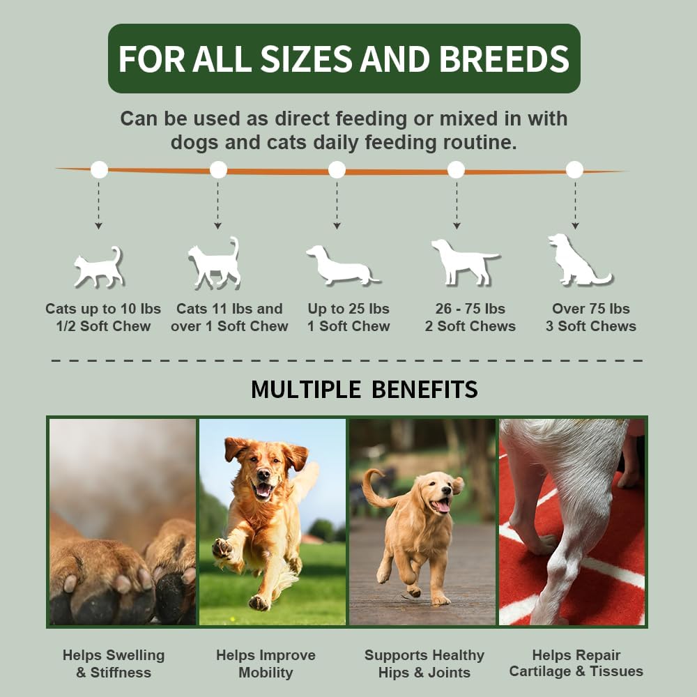 Green Lipped Mussel Chews for Dogs & Cats