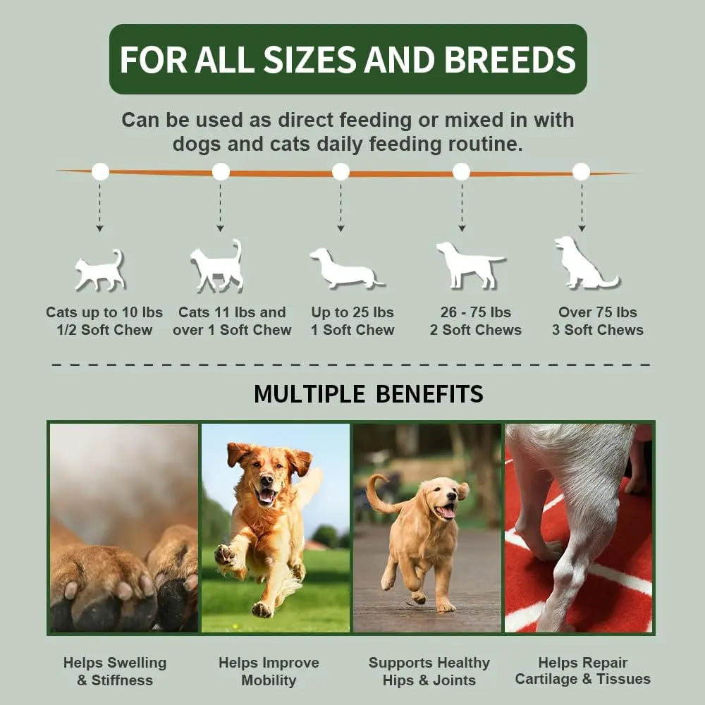 {{Product title}} for dogs and cats | Pet supplements UK | {{Shop name}}