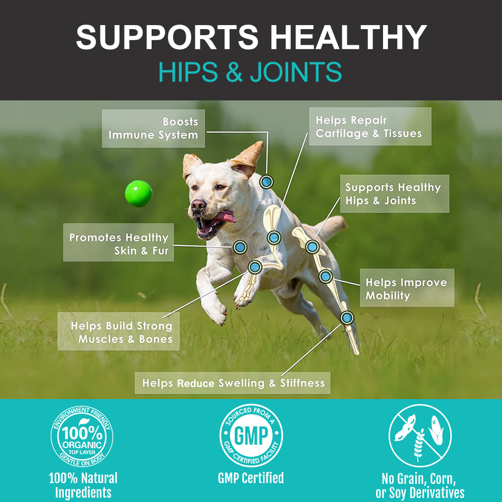 Hip and Joint Soft Chews Supplement for Dogs
