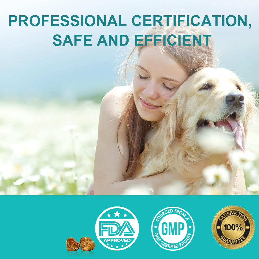Hip and Joint Soft Chews Supplement for Dogs