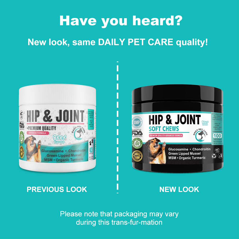 Hip and Joint Soft Chews Supplement for Dogs