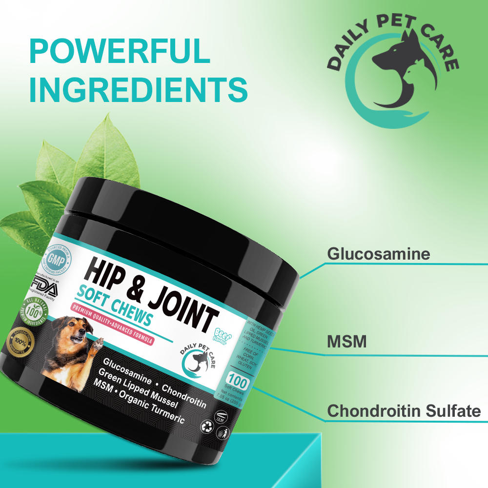 Hip and Joint Soft Chews Supplement for Dogs