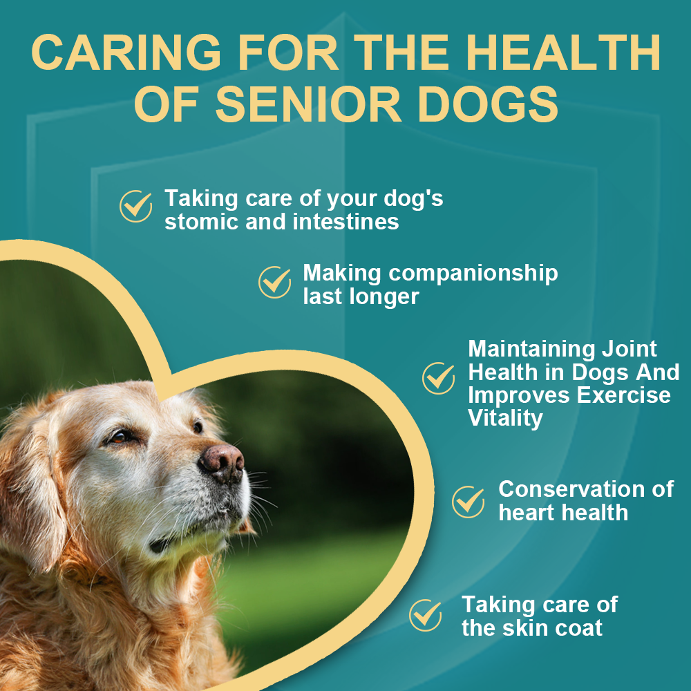 Joint Care Supplment for Senior Dogs - Beef Flavour