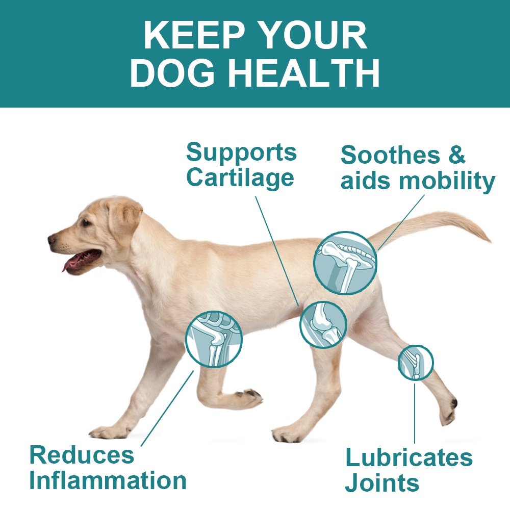 Joint Care Supplment for Senior Dogs - Beef Flavour