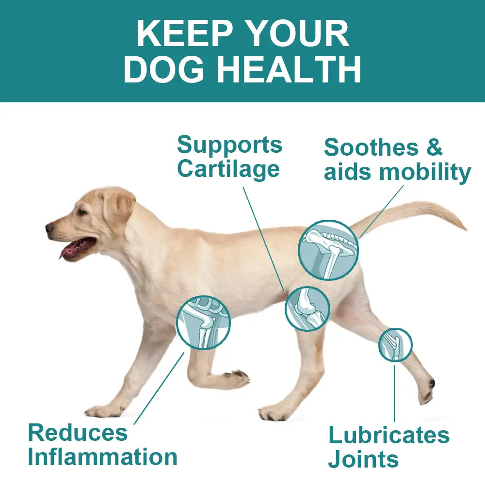 {{Product title}} for dogs and cats | Pet supplements UK | {{Shop name}}