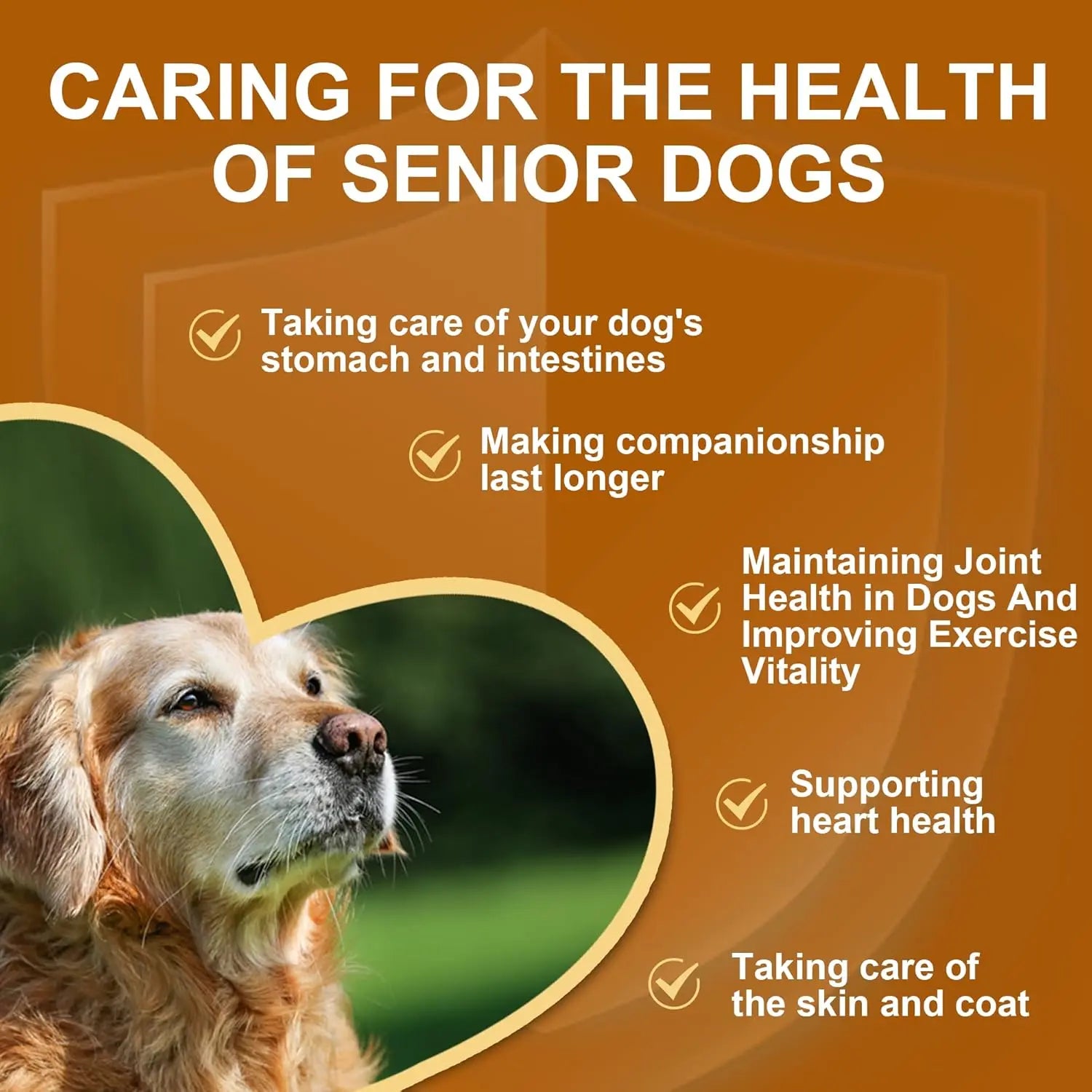 {{Product title}} for dogs and cats | Pet supplements UK | {{Shop name}}