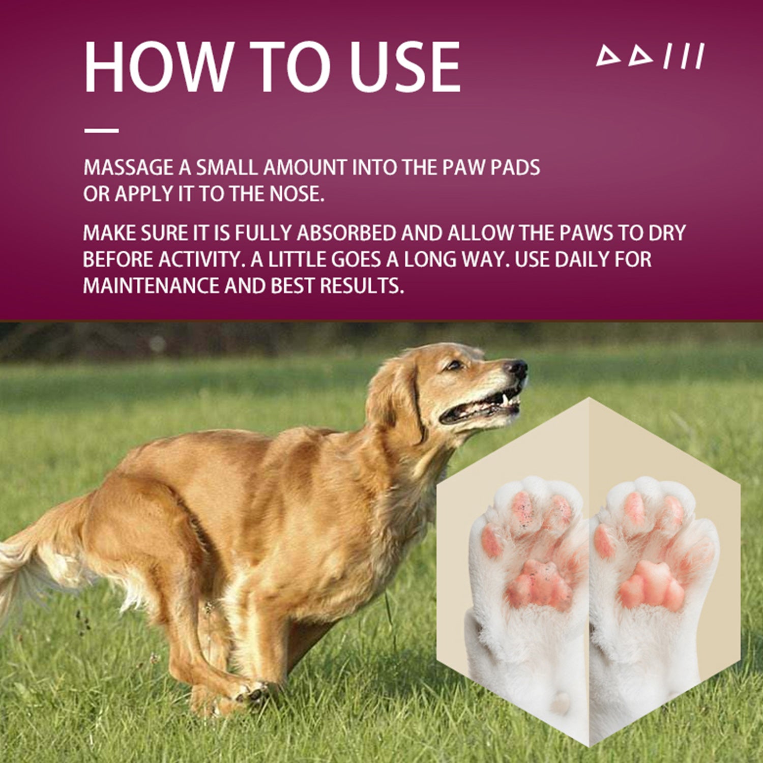 Paw & Nose Balm for Dogs & Cats – Natural Daily Care