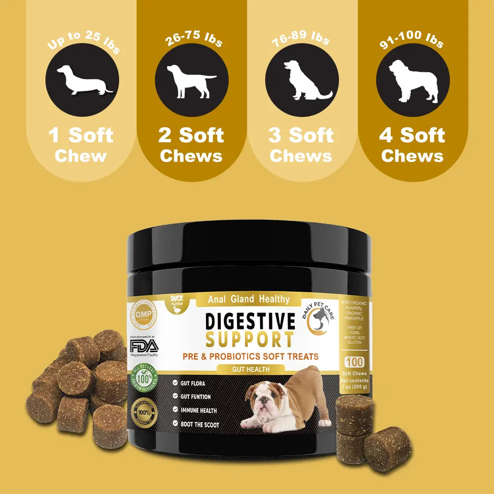 Dog eating probiotic chews for digestive support and gut health UK