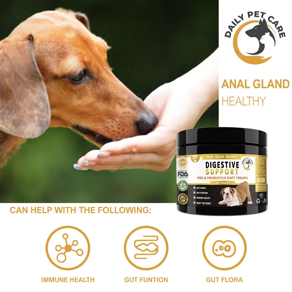 Probiotic chews for dogs of all breeds UK daily gut support supplement