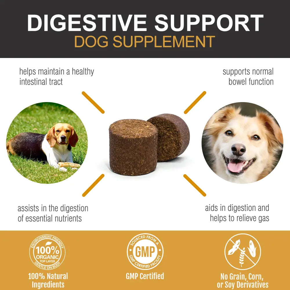 Dog probiotic chews with pumpkin enzymes and natural fibre blend