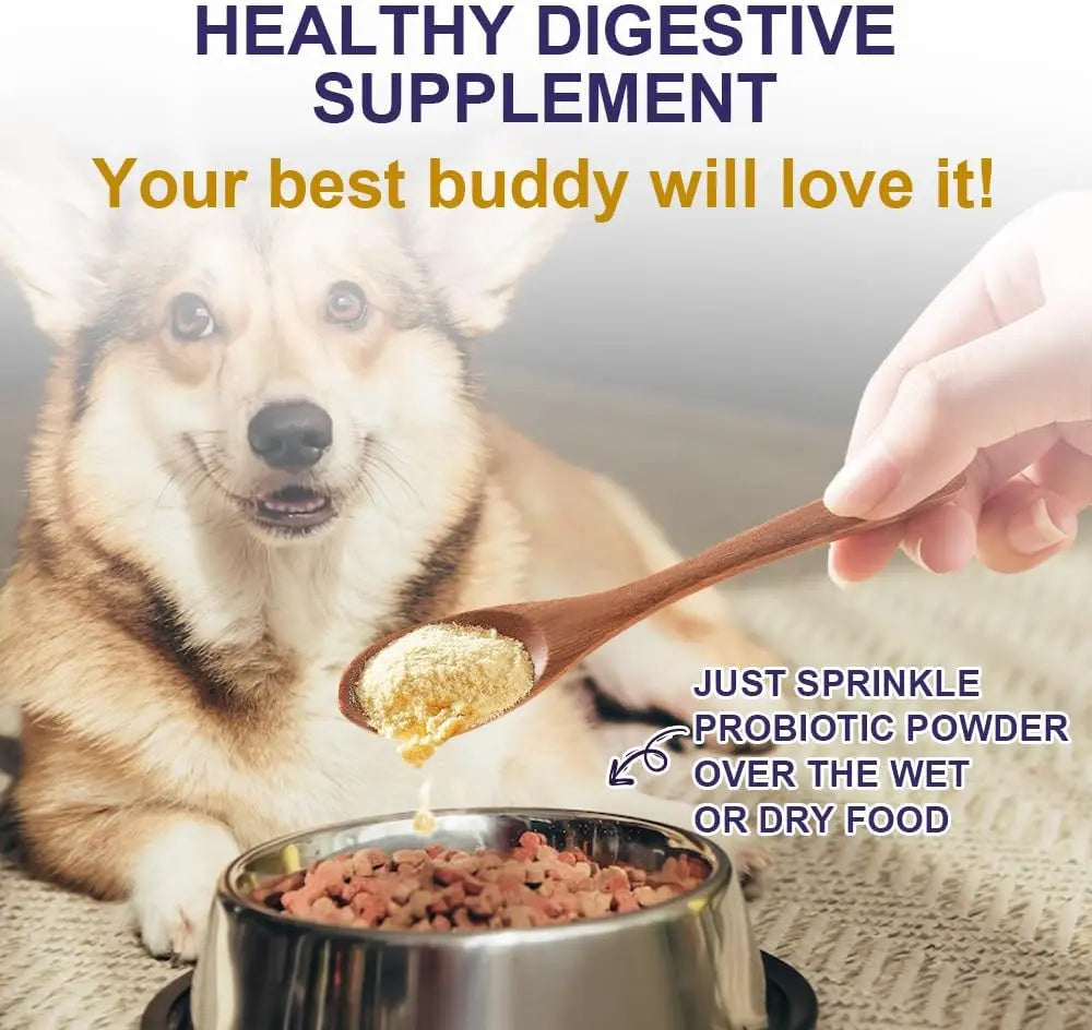 Probiotic powder for pets with prebiotic fibre and digestive enzymes