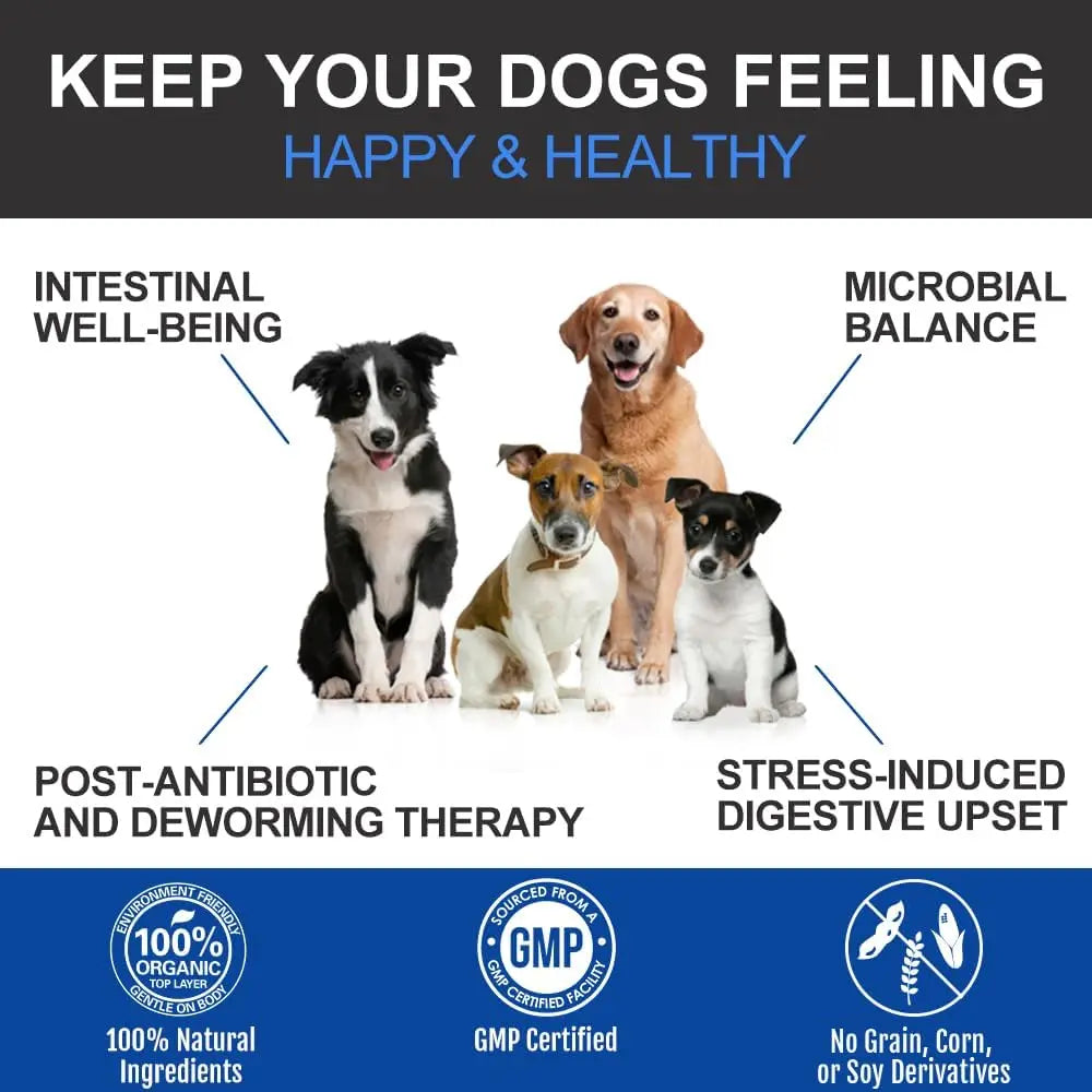 Dog probiotic chews with pumpkin papaya and digestive enzymes