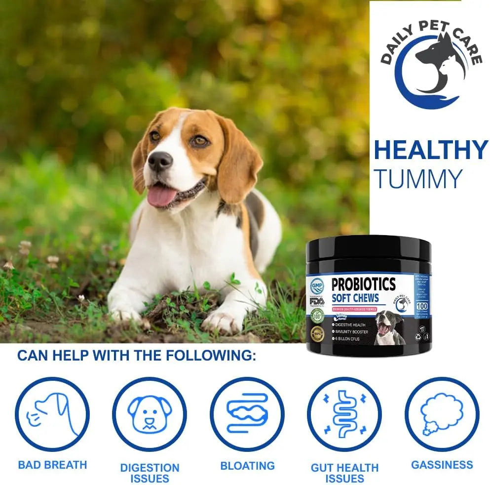 Dog probiotics for digestion gut balance and immune support UK