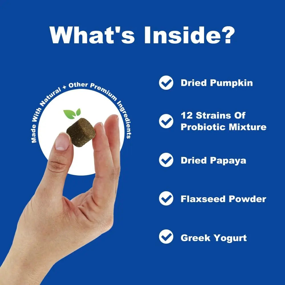 6 billion CFU dog probiotic chews for digestive support UK