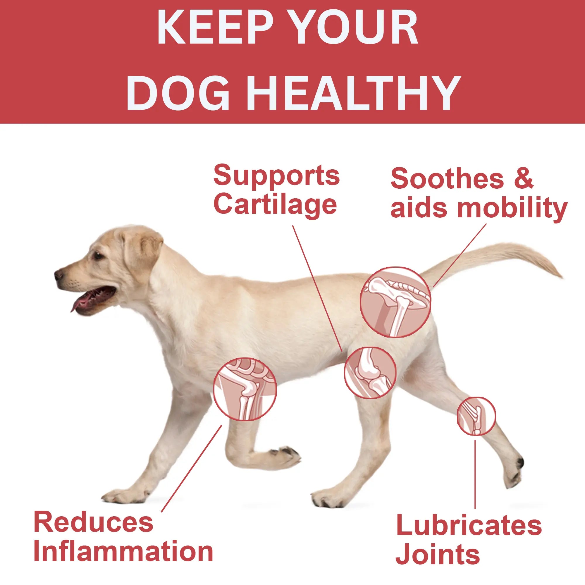 {{Product title}} dog supplements UK | DailyPetCare