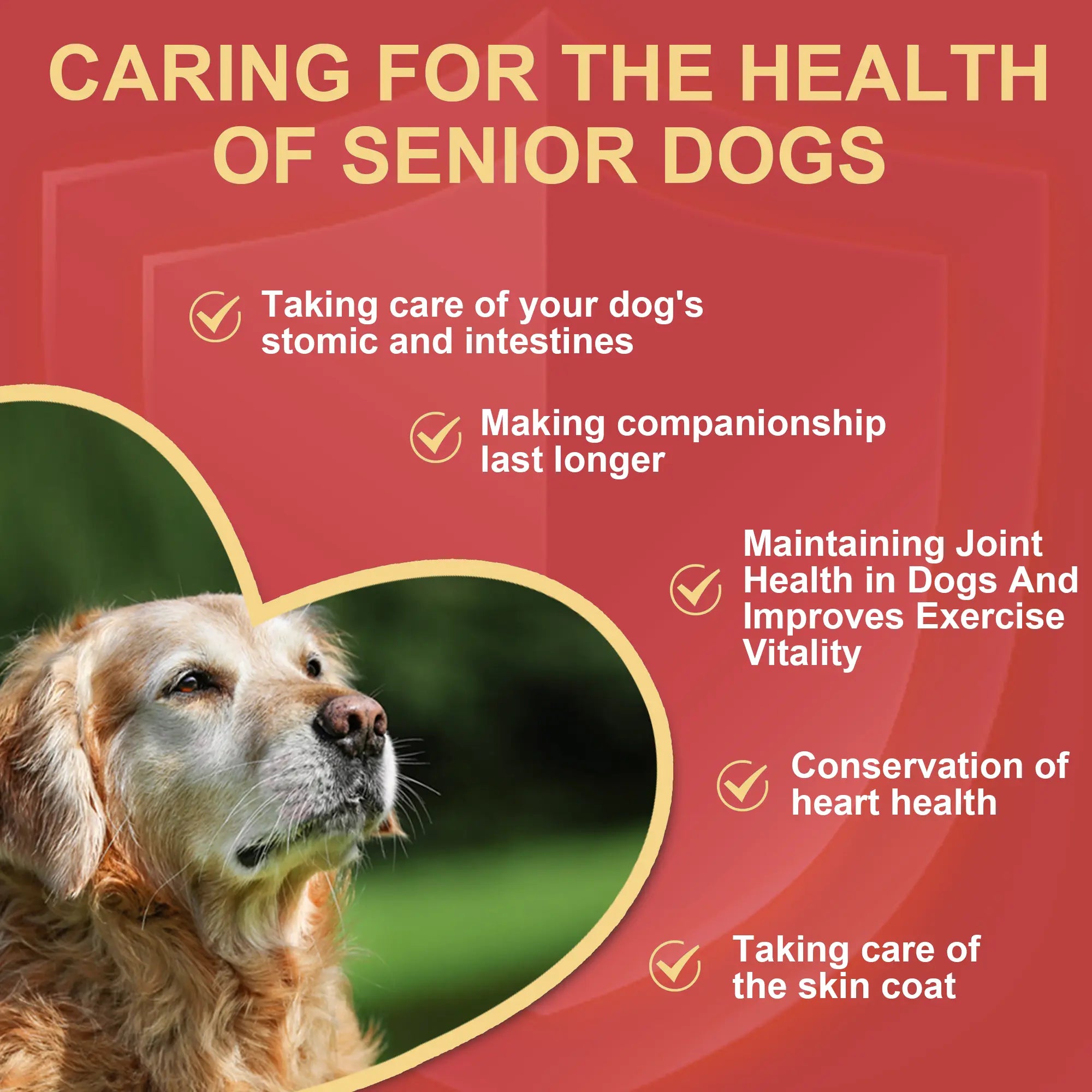 {{Product title}} dog supplements UK | DailyPetCare