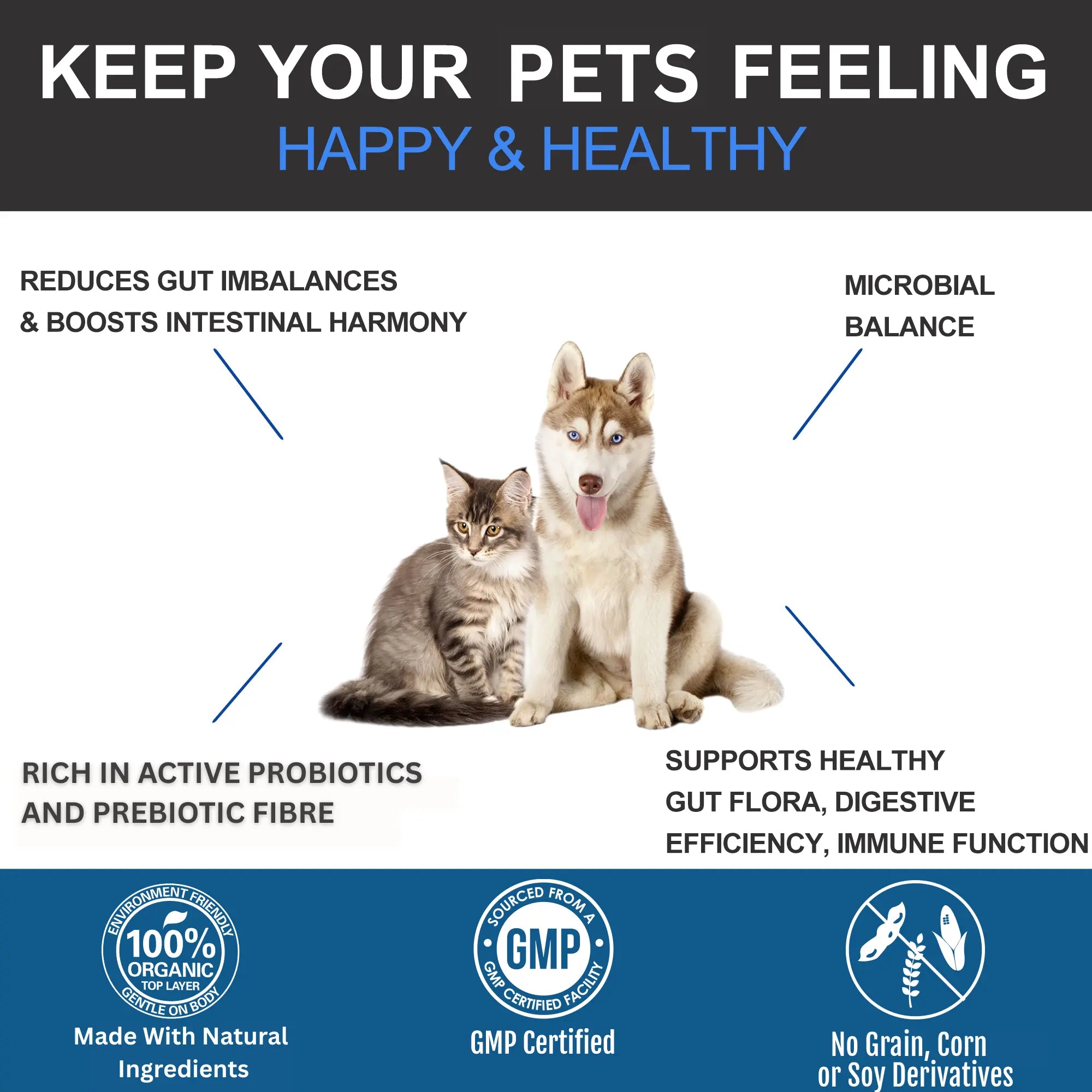 {{Product title}} for dogs and cats | Pet supplements UK | {{Shop name}}