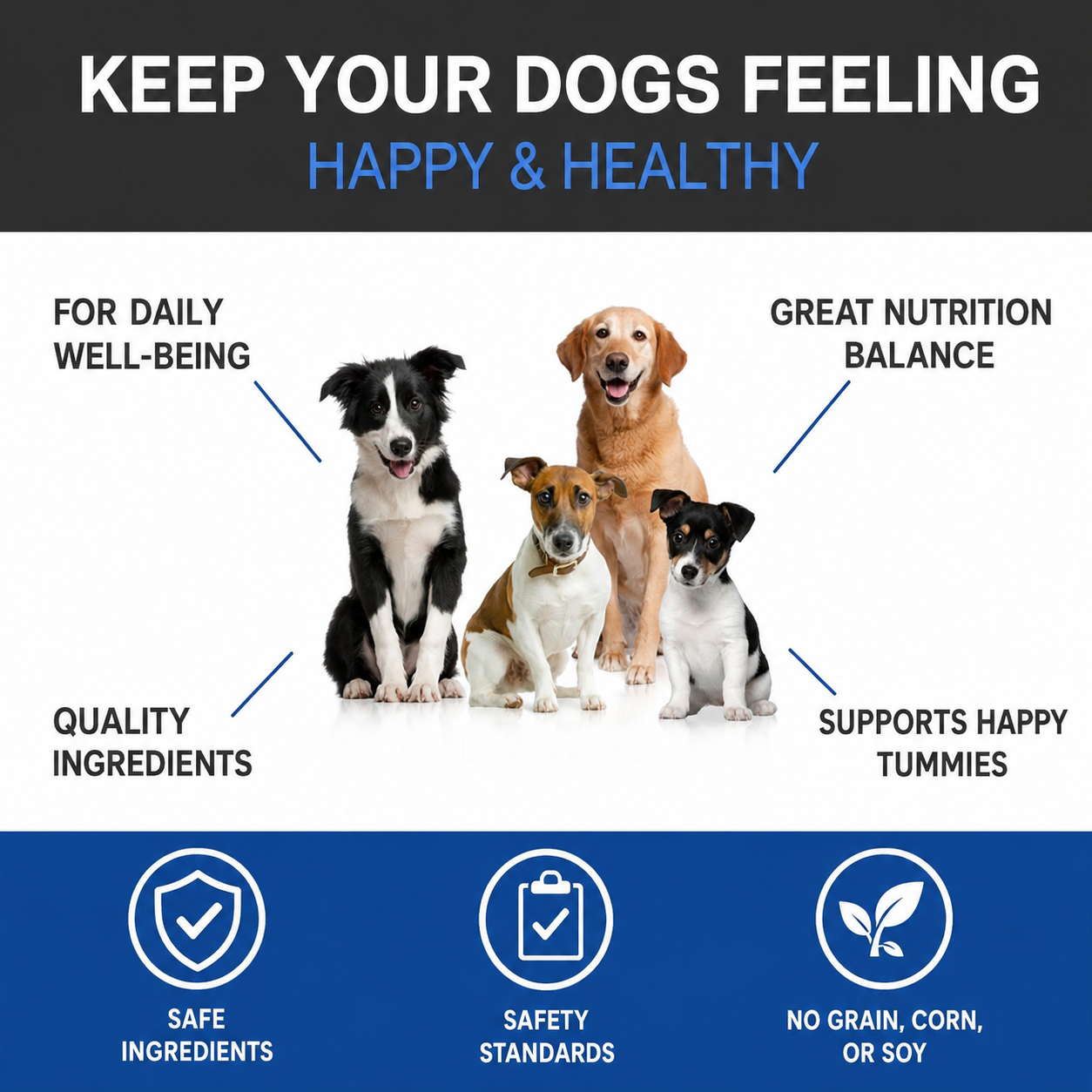 Probiotics for Dogs UK – Digestive Support & Gut Health Soft Chews | 6 Billion CFU