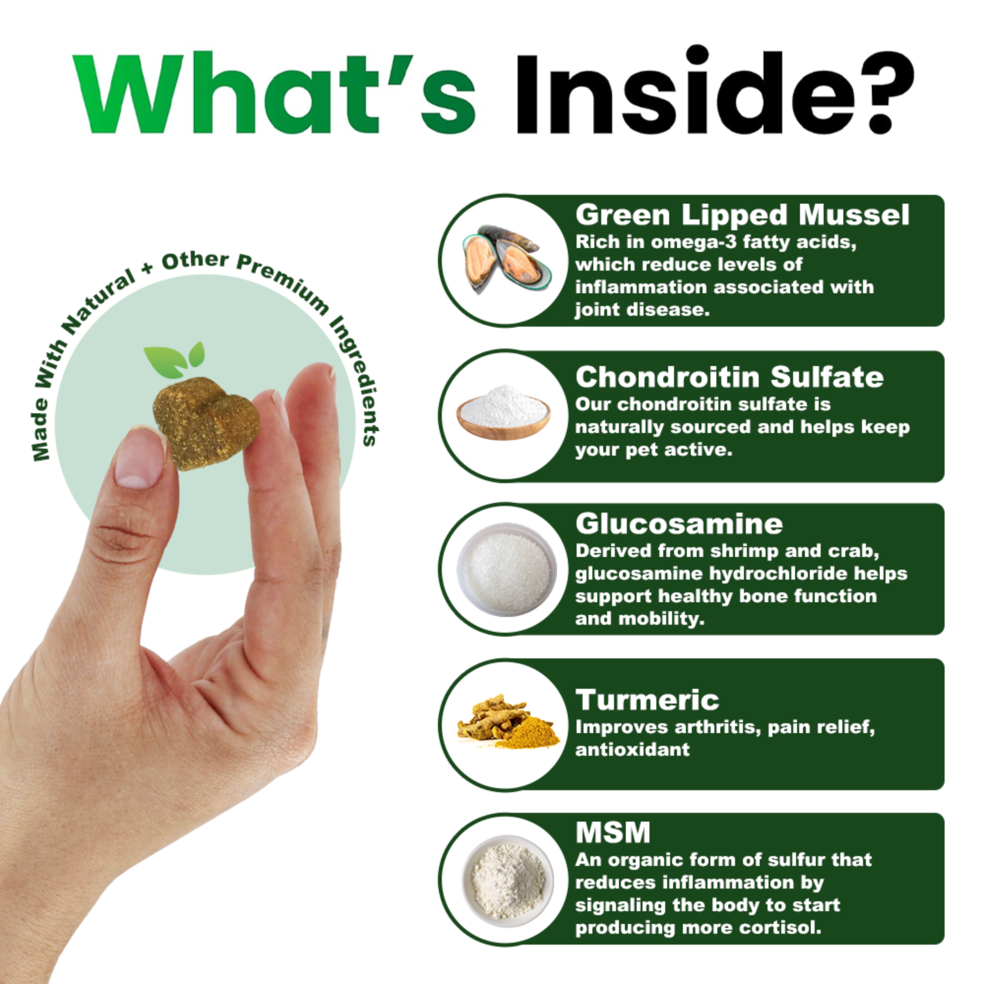Green Lipped Mussel for Dogs & Cats – Joint Supplement with Glucosamine MSM & Chondroitin, Pet Mobility & Hip Support, Daily Soft Chews UK