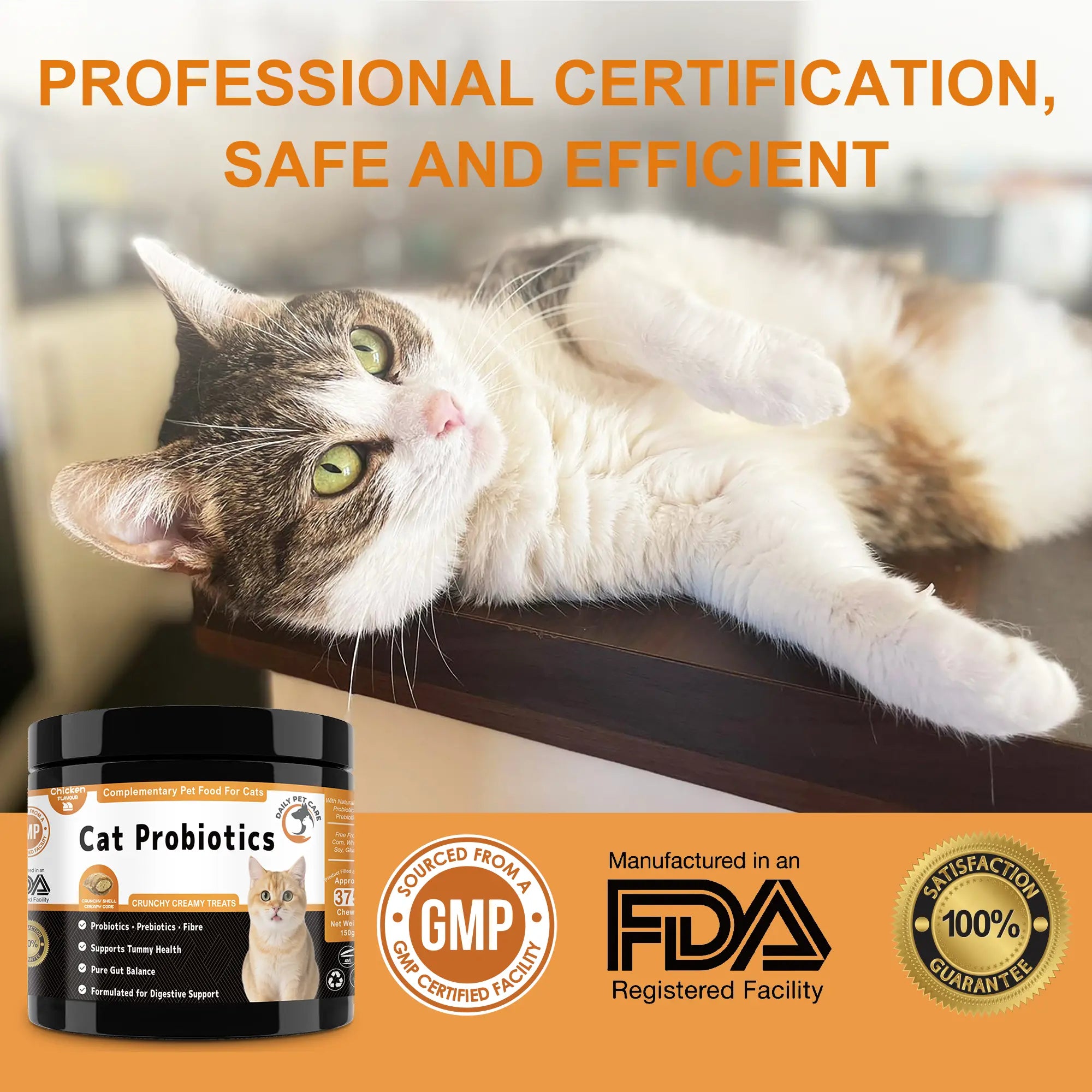 Cat eating probiotic chews for digestive health and stool support UK