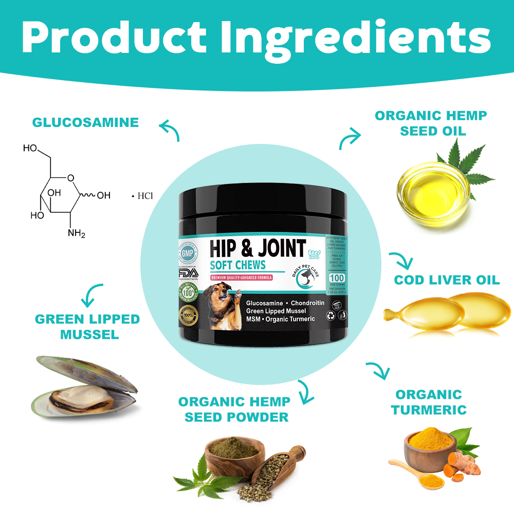 Hip and Joint Soft Chews