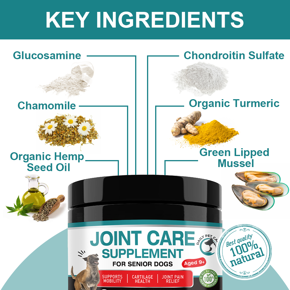 Joint Care Supplment for Senior Dogs - Beef Flavour