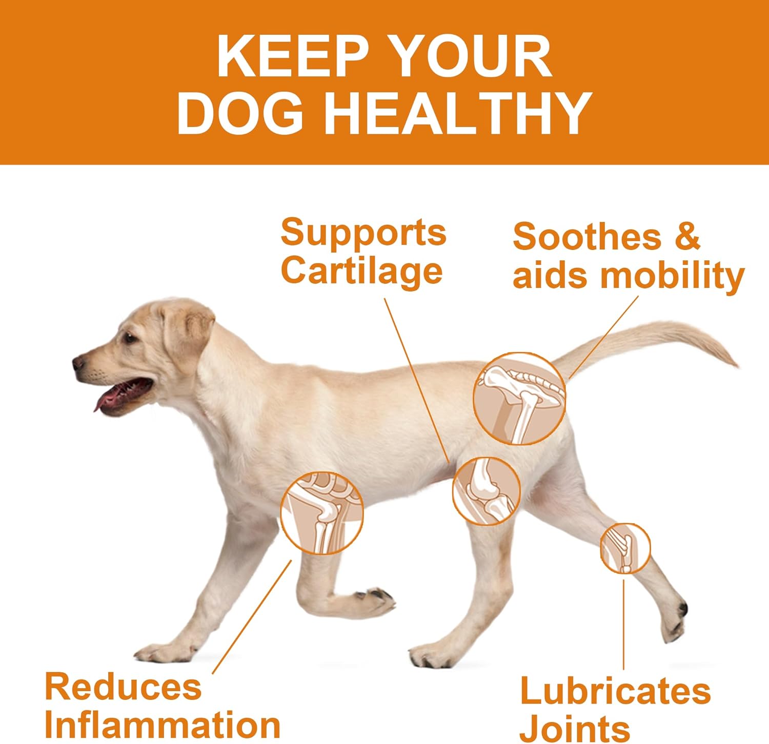 Senior Dog Joint Support Chews – Duck Flavour