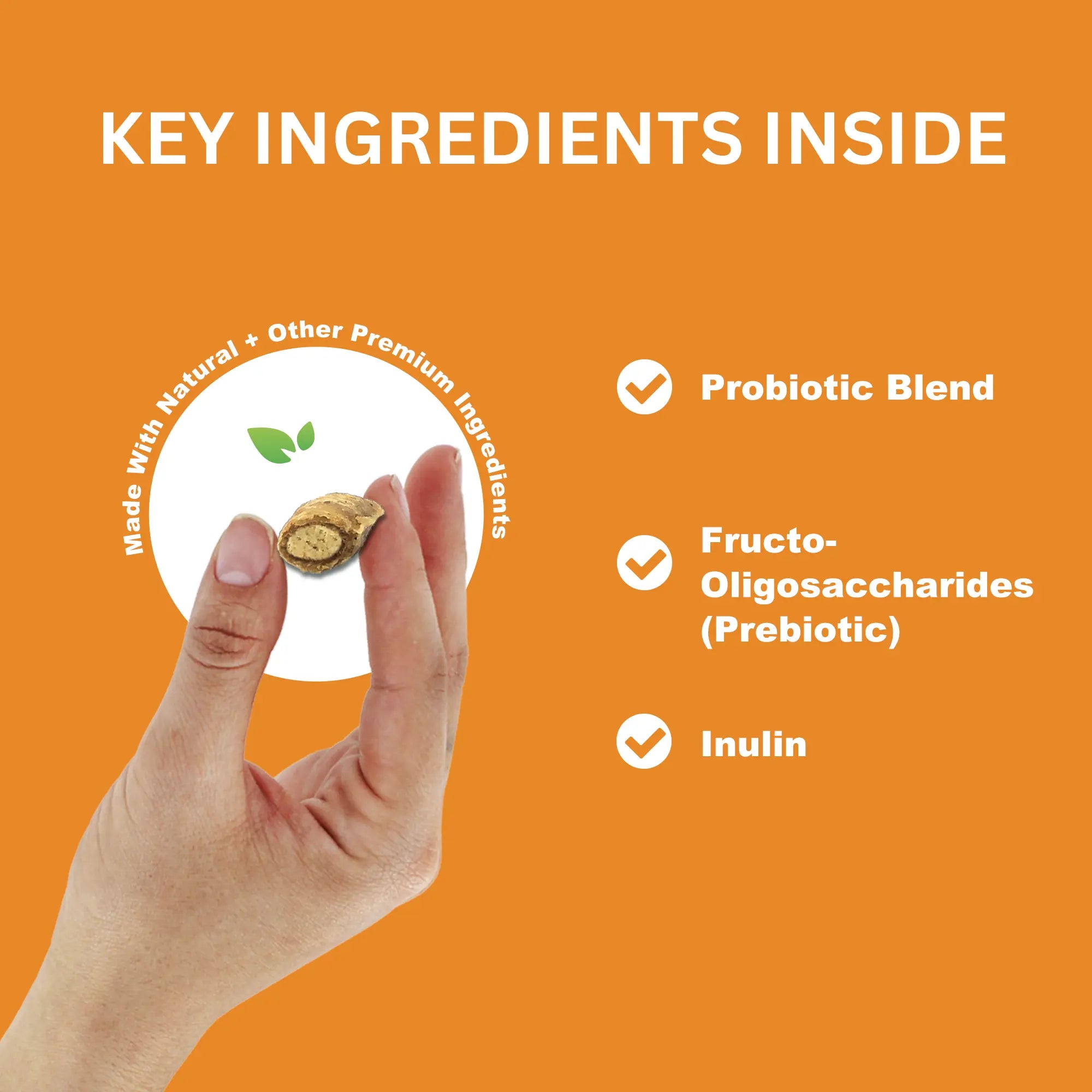 Probiotic cat treats UK packaging Daily Pet Care digestive support chews