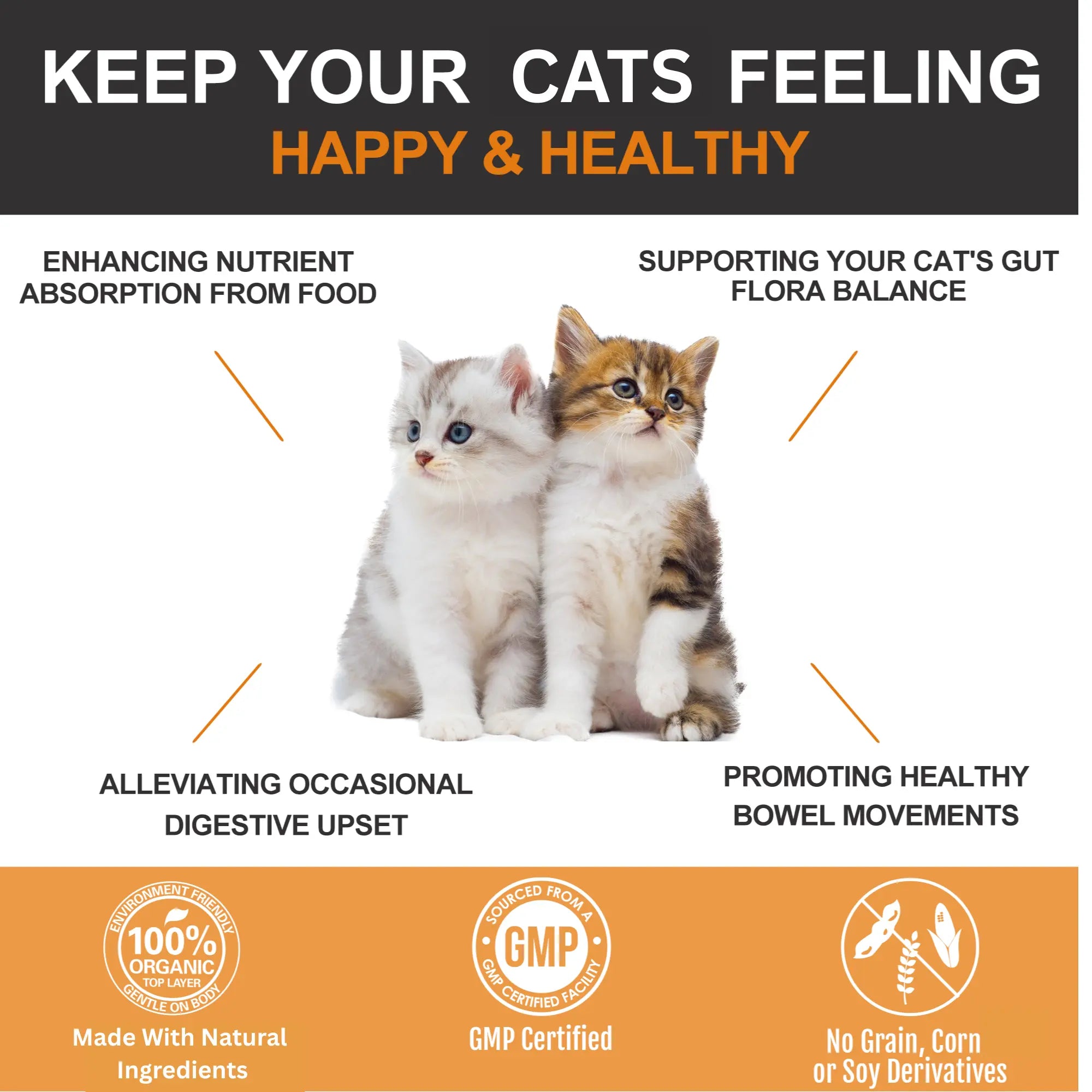 Crunchy probiotic cat chews with creamy centre for gut health and digestion