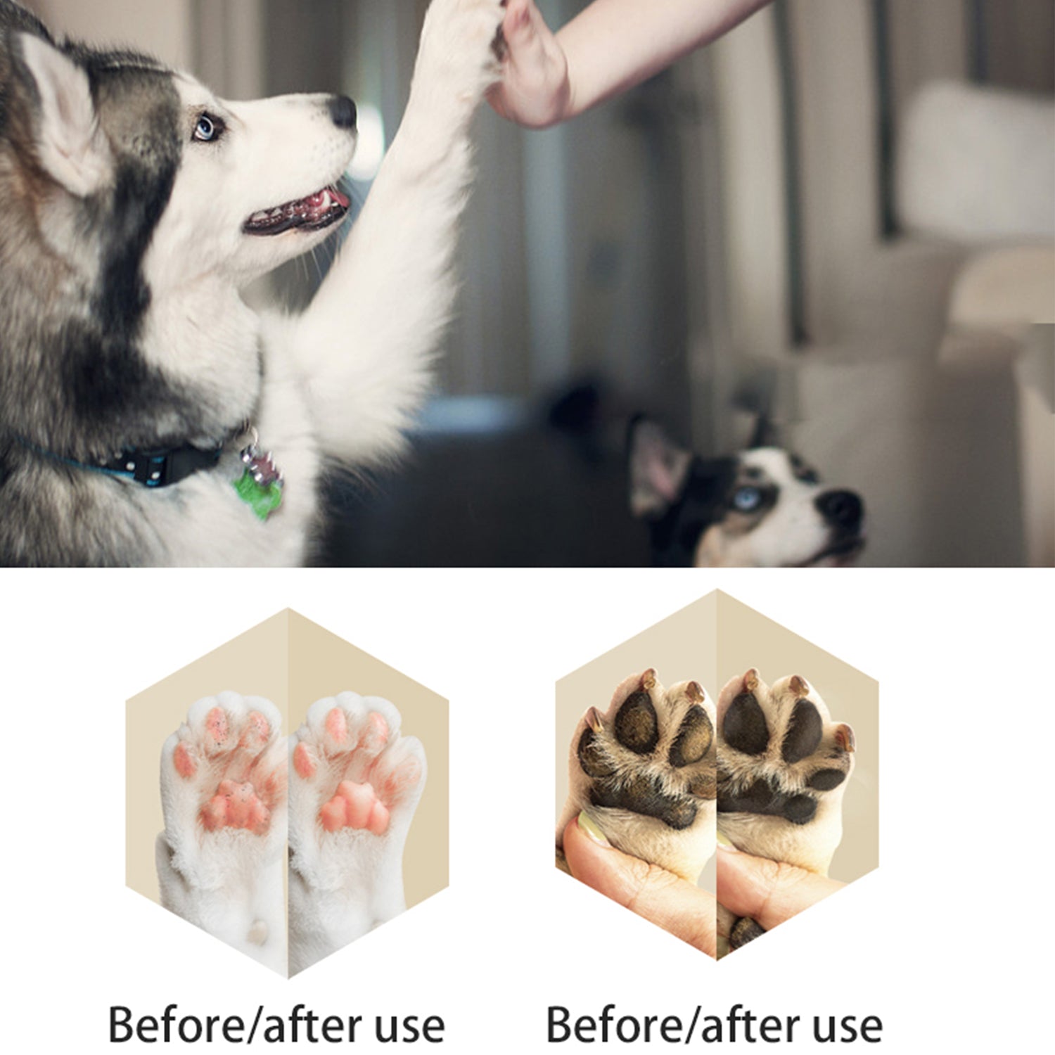 Paw & Nose Balm for Dogs & Cats – Natural Daily Care