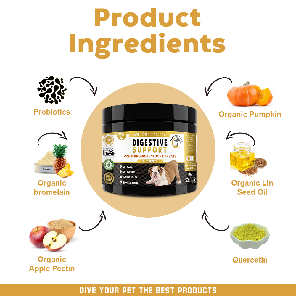 Pre & Probiotic Soft Chews for Dogs – Daily Wellness Blend