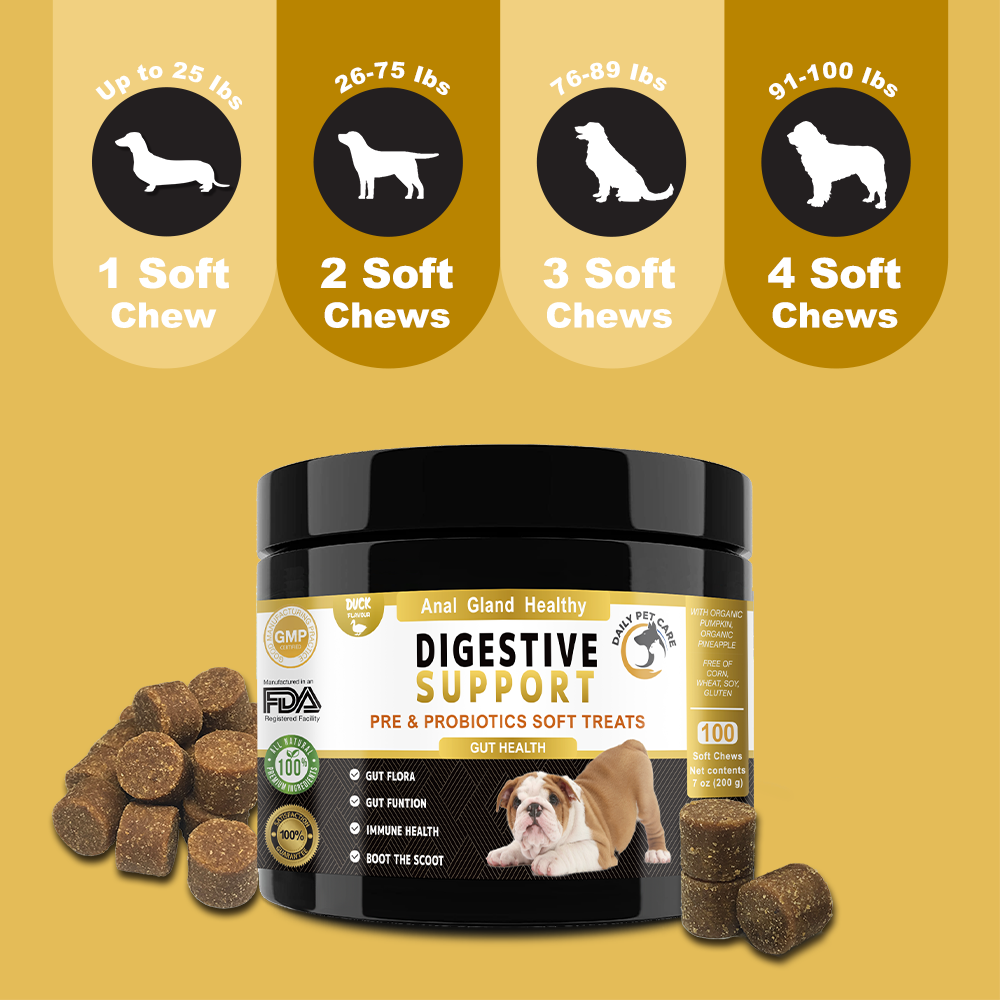 Pre & Probiotic Soft Chews for Dogs – Daily Wellness Blend
