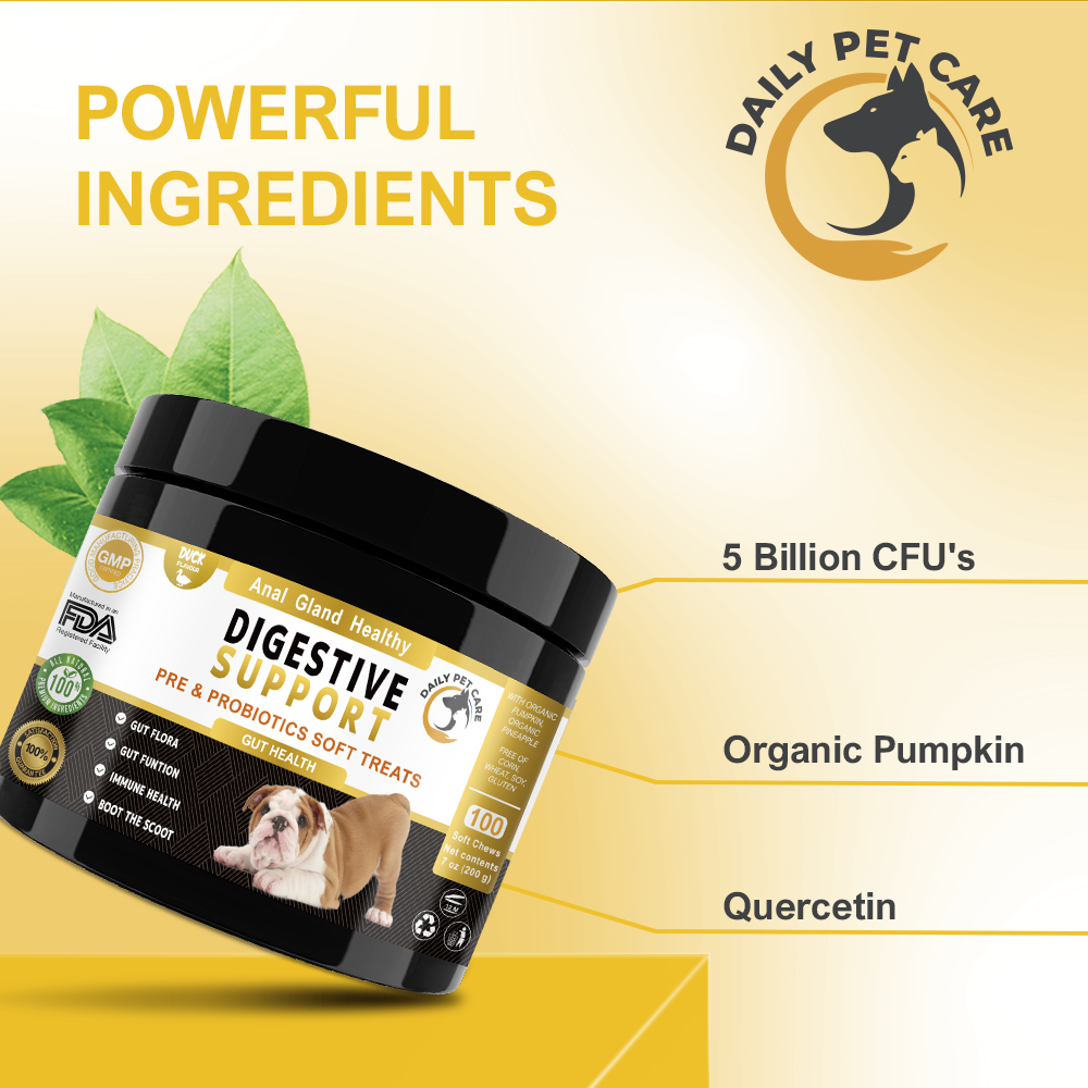 Pre & Probiotic Soft Chews for Dogs – Daily Wellness Blend