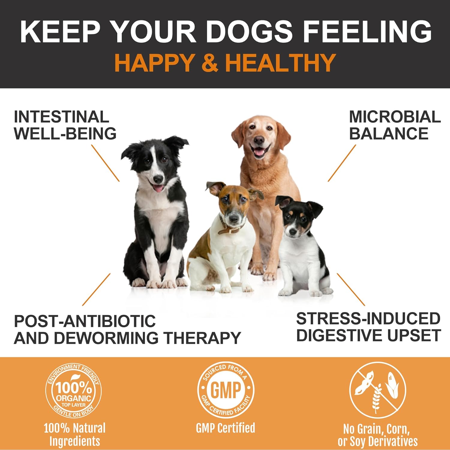 Probiotics Chews for Dogs – Duck Flavour