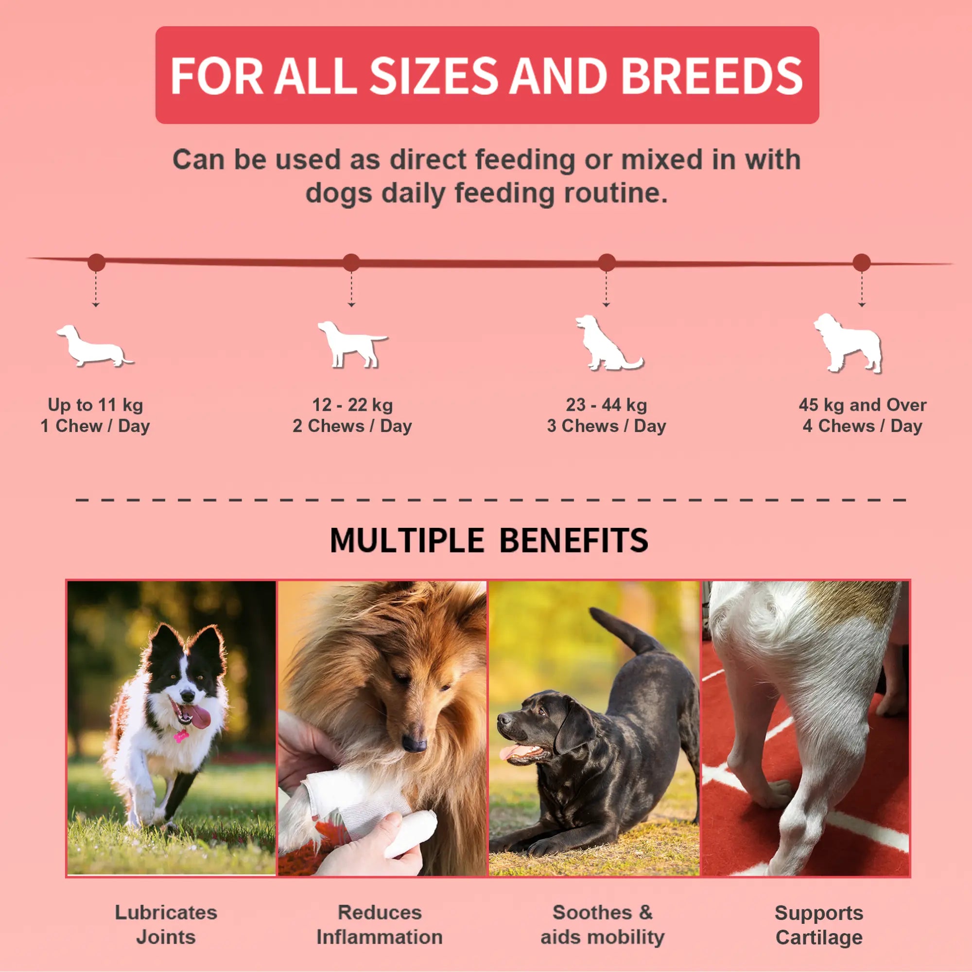 {{Product title}} dog supplements UK | DailyPetCare