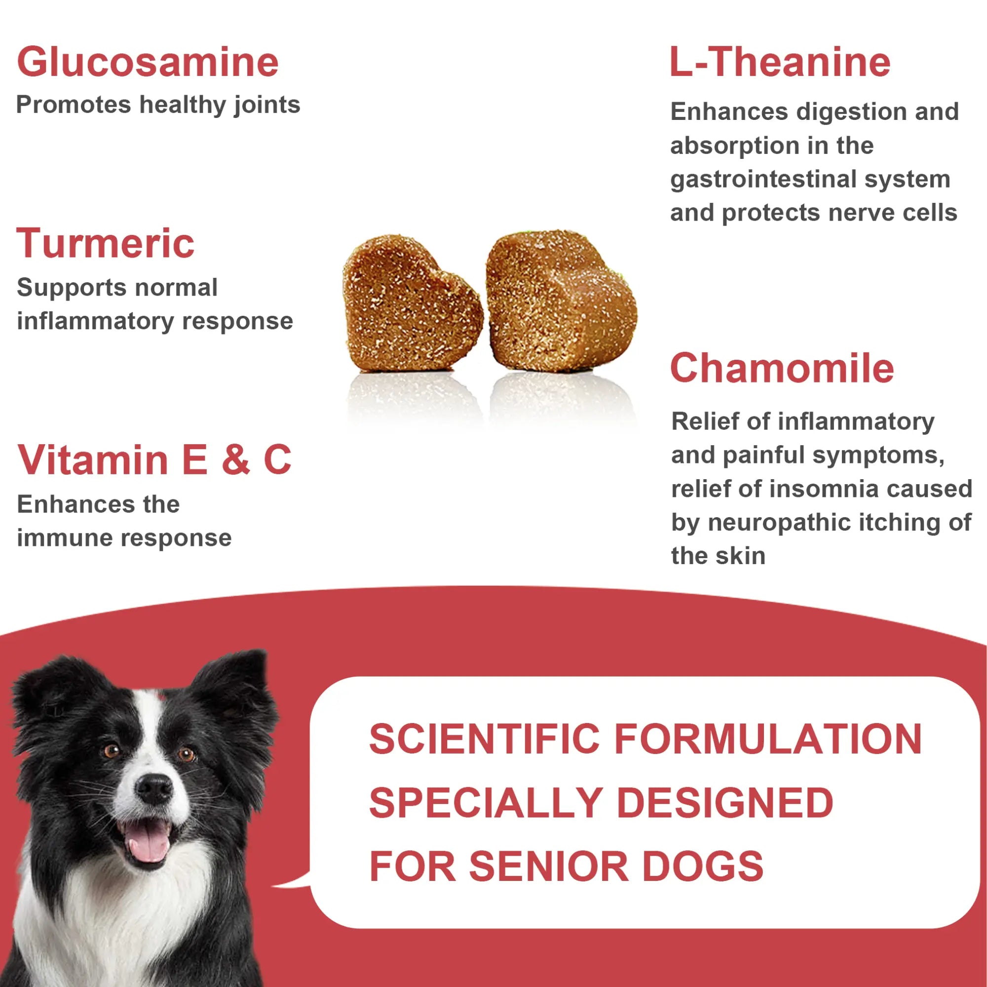{{Product title}} dog supplements UK | DailyPetCare