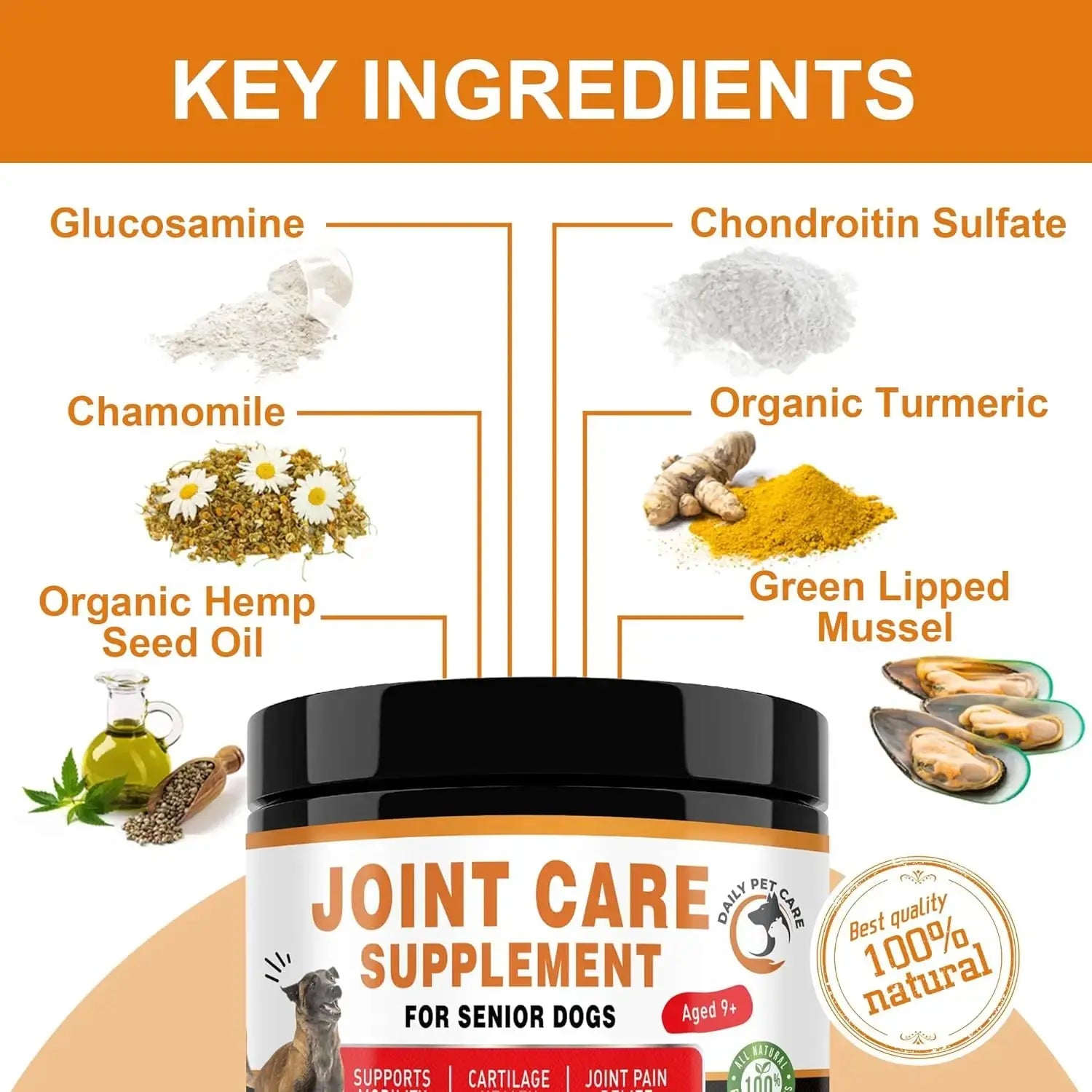 Glucosamine and Green Lipped Mussel Joint Supplement for Senior Dogs