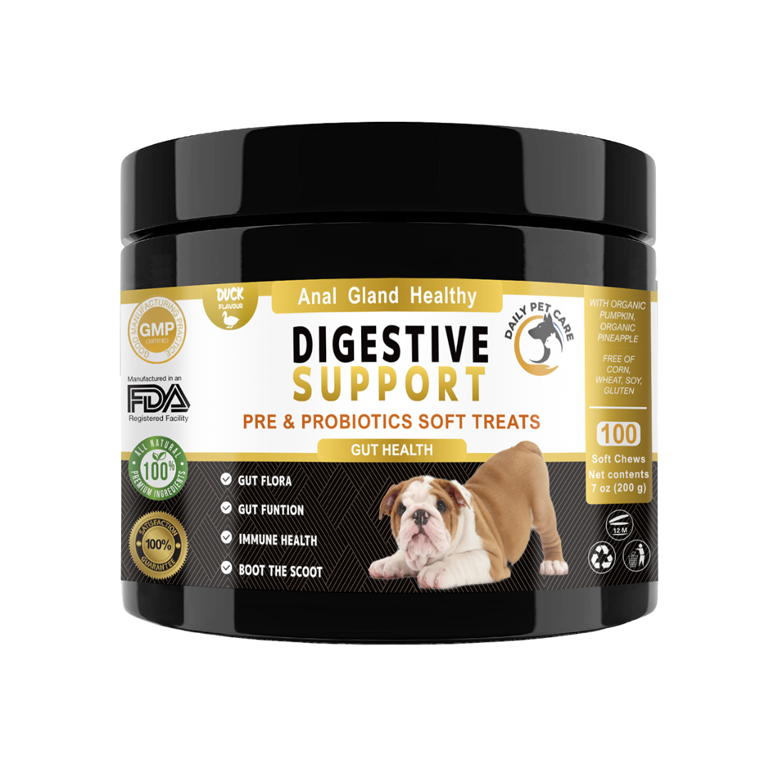 Pre & Probiotic Soft Chews for Dogs – Daily Wellness Blend